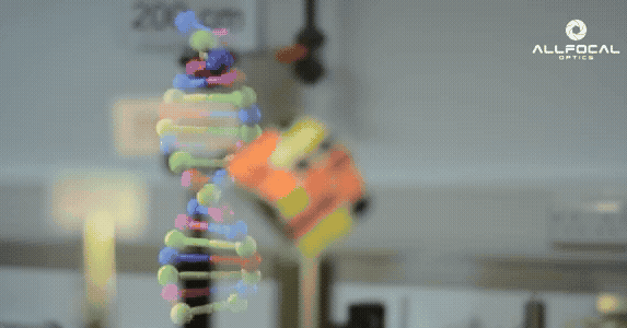 VerityGif.gif